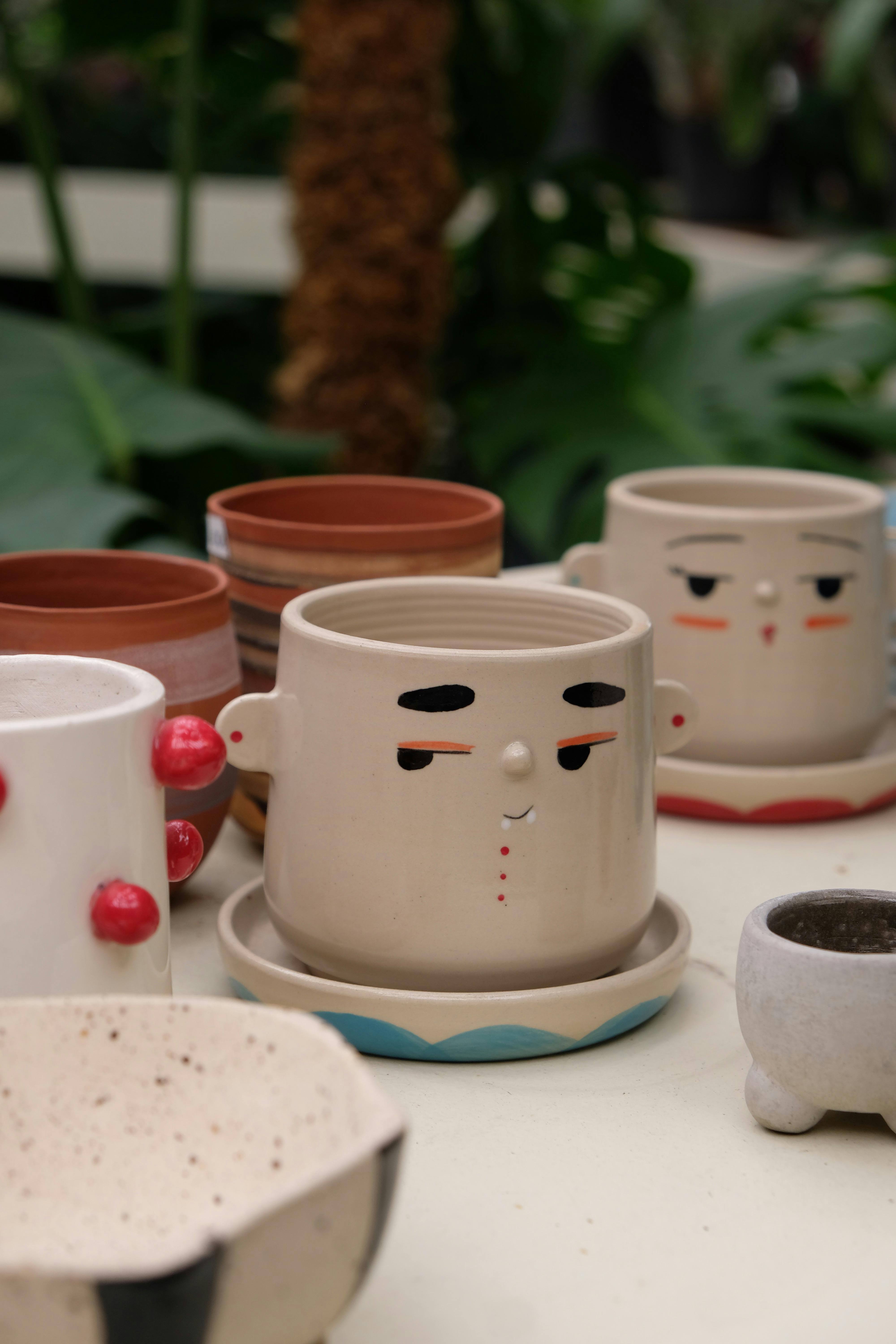 The 5 Best Ceramic Planters for Home 2026: Review & Comparison