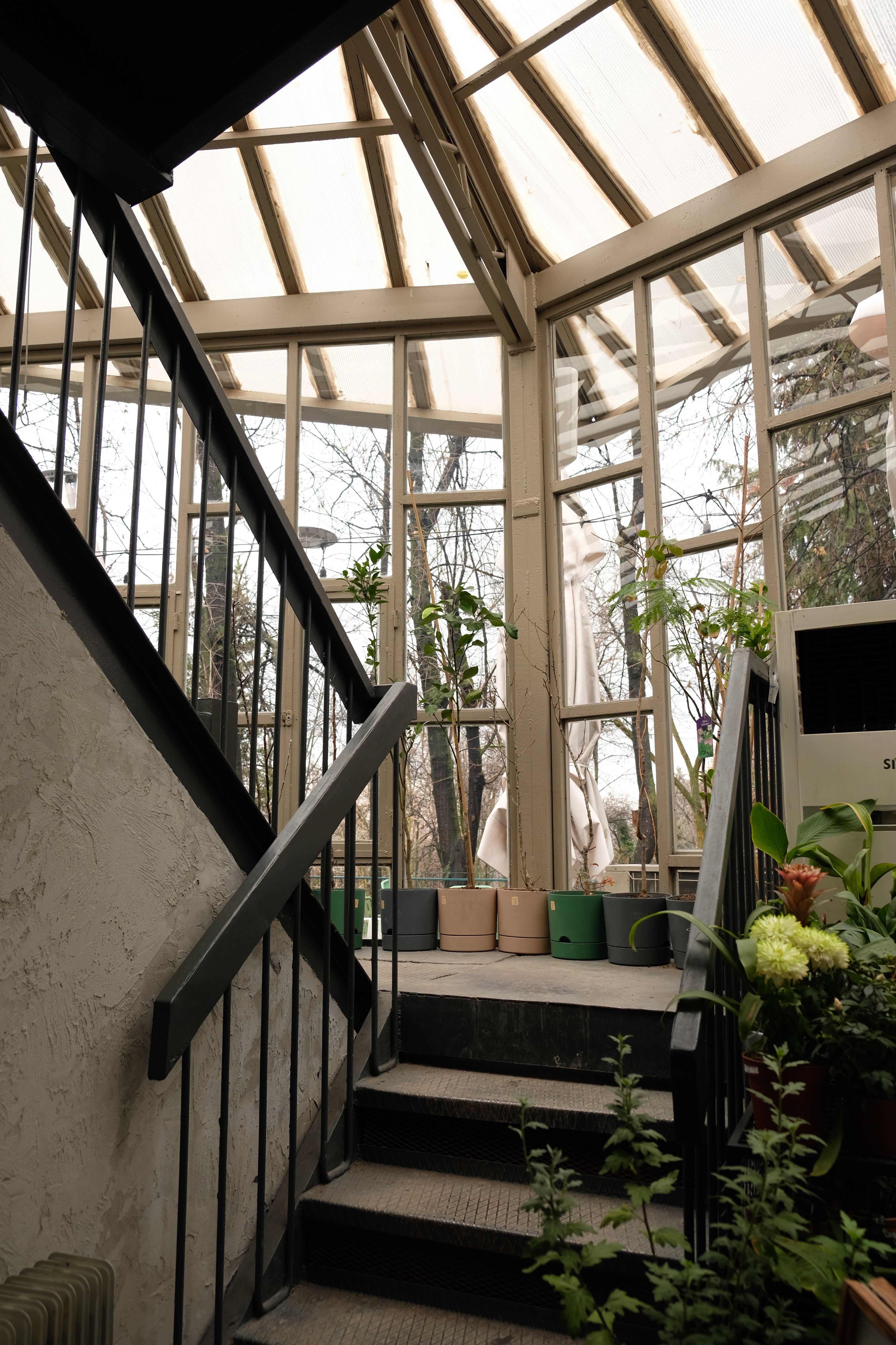 Comment créer un jardin dhiver à moindre coût : idées et conseils - illustration
