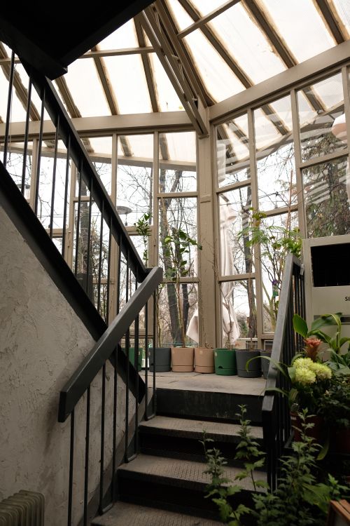 Free A cozy indoor greenhouse with a wooden staircase and potted plants. Stock Photo