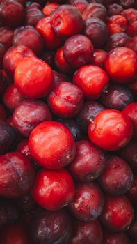 A detailed close-up of vibrant red and purple plums. Perfect for food and nutrition themes.