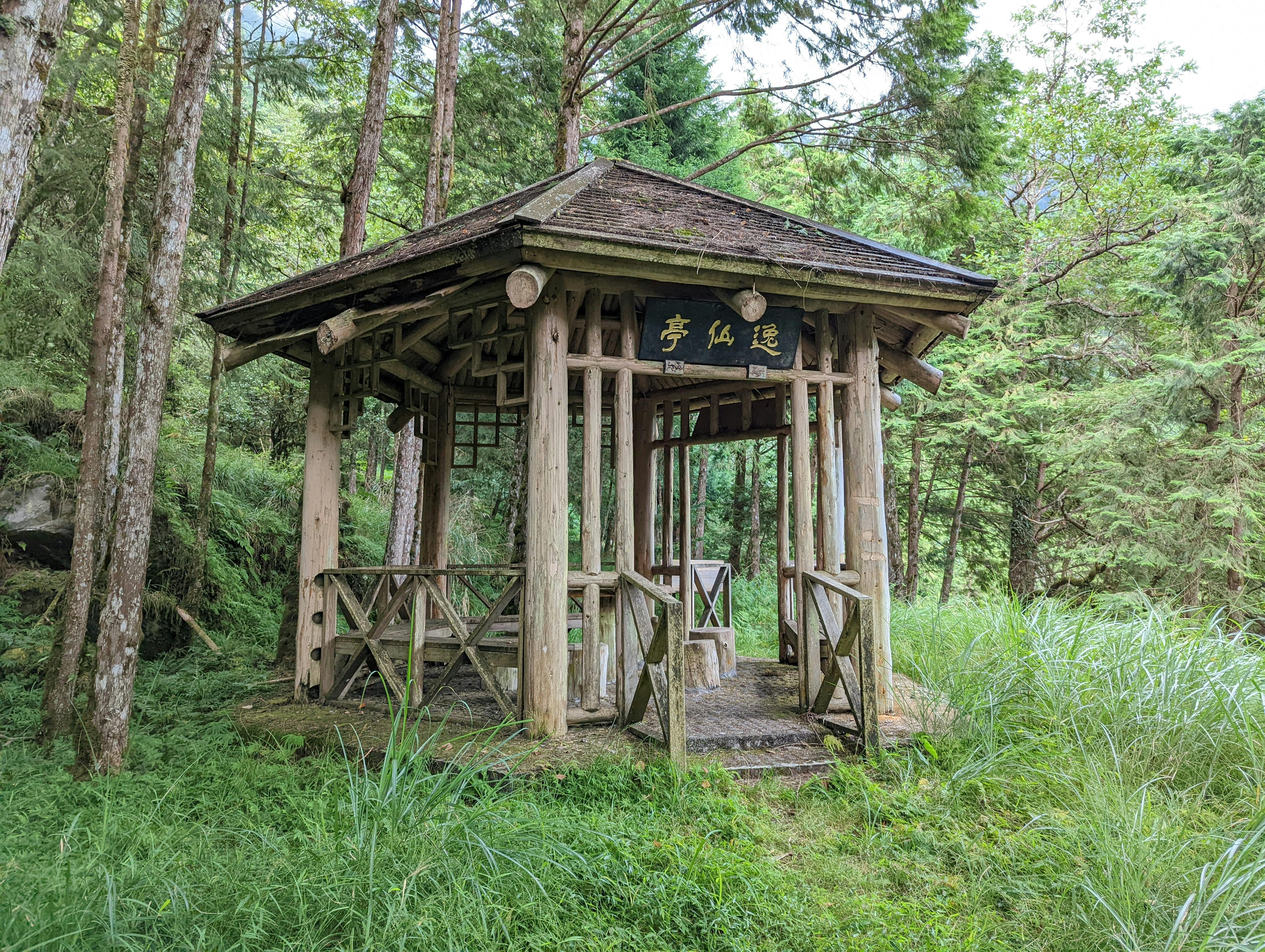 Gratis arkivbilde med anlegg, asia, Asiatisk Arkivbilde