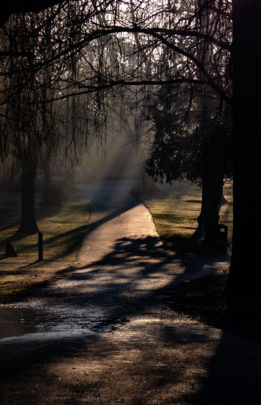 A path from shade into the light - God Is Light, The Deep Study