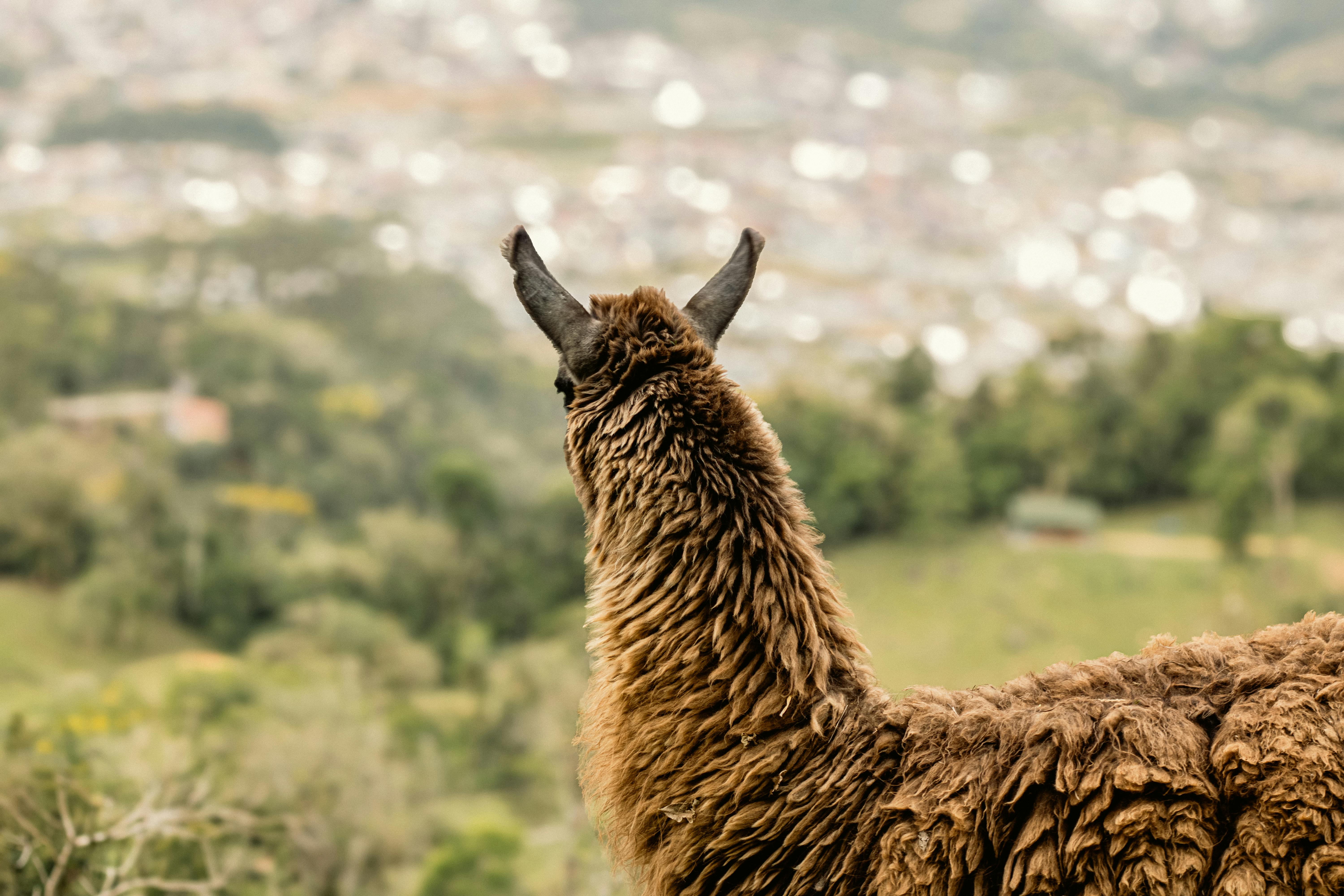 Llama 4 Maverick API