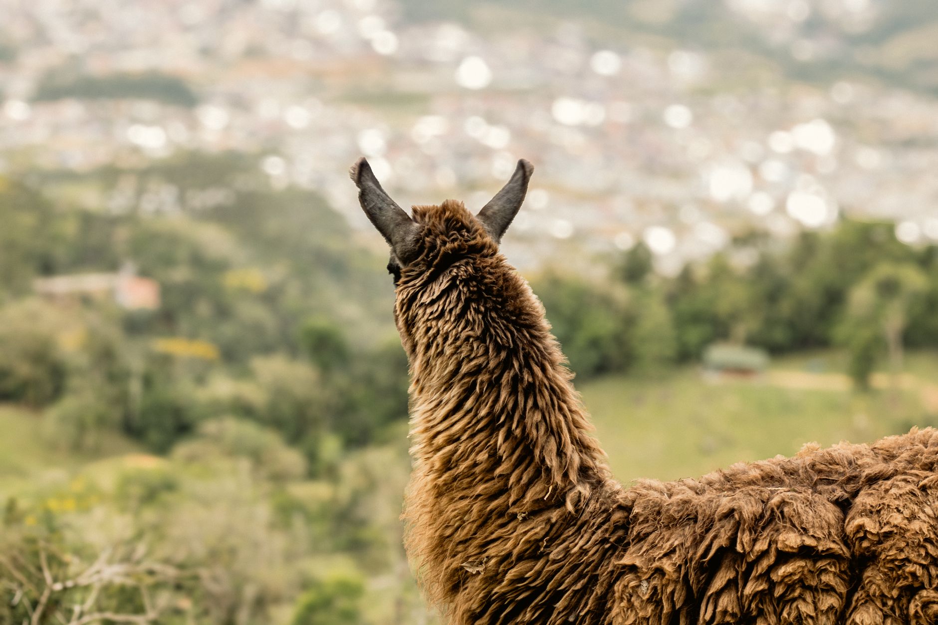 Llama 4 Maverick API