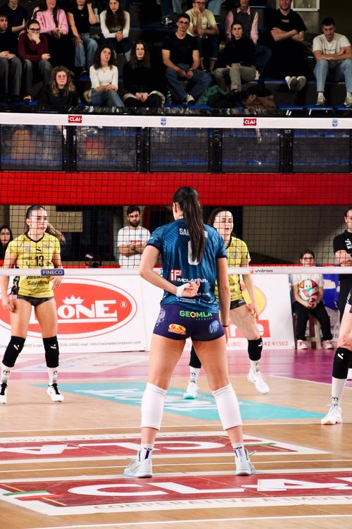 Free Competitive volleyball match with players in action on an indoor court. Stock Photo
