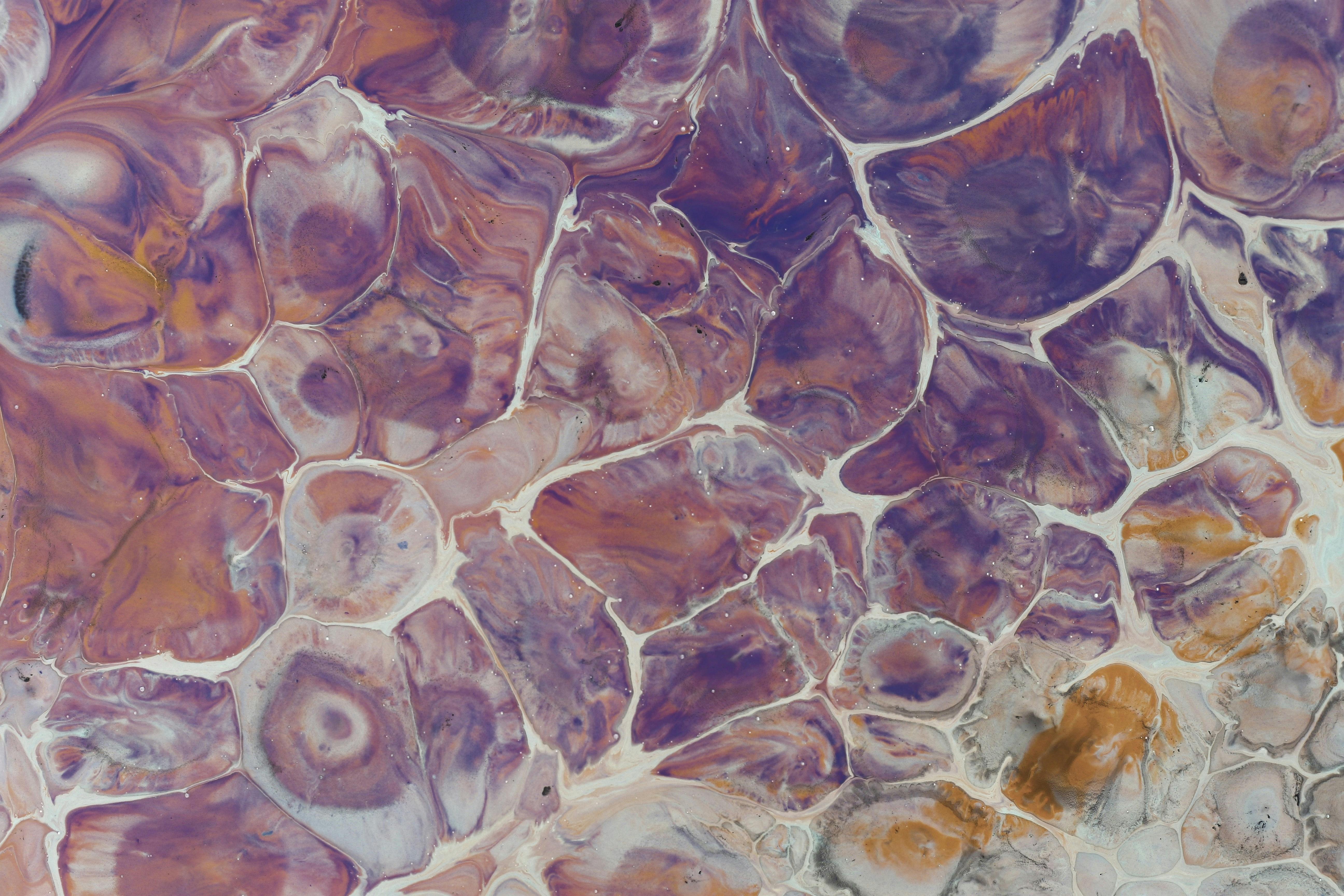 Gratis Fengslende abstrakt flytende kunst med virvlende lilla og oransje mønstre, ideell for moderne interiør. Arkivbilde