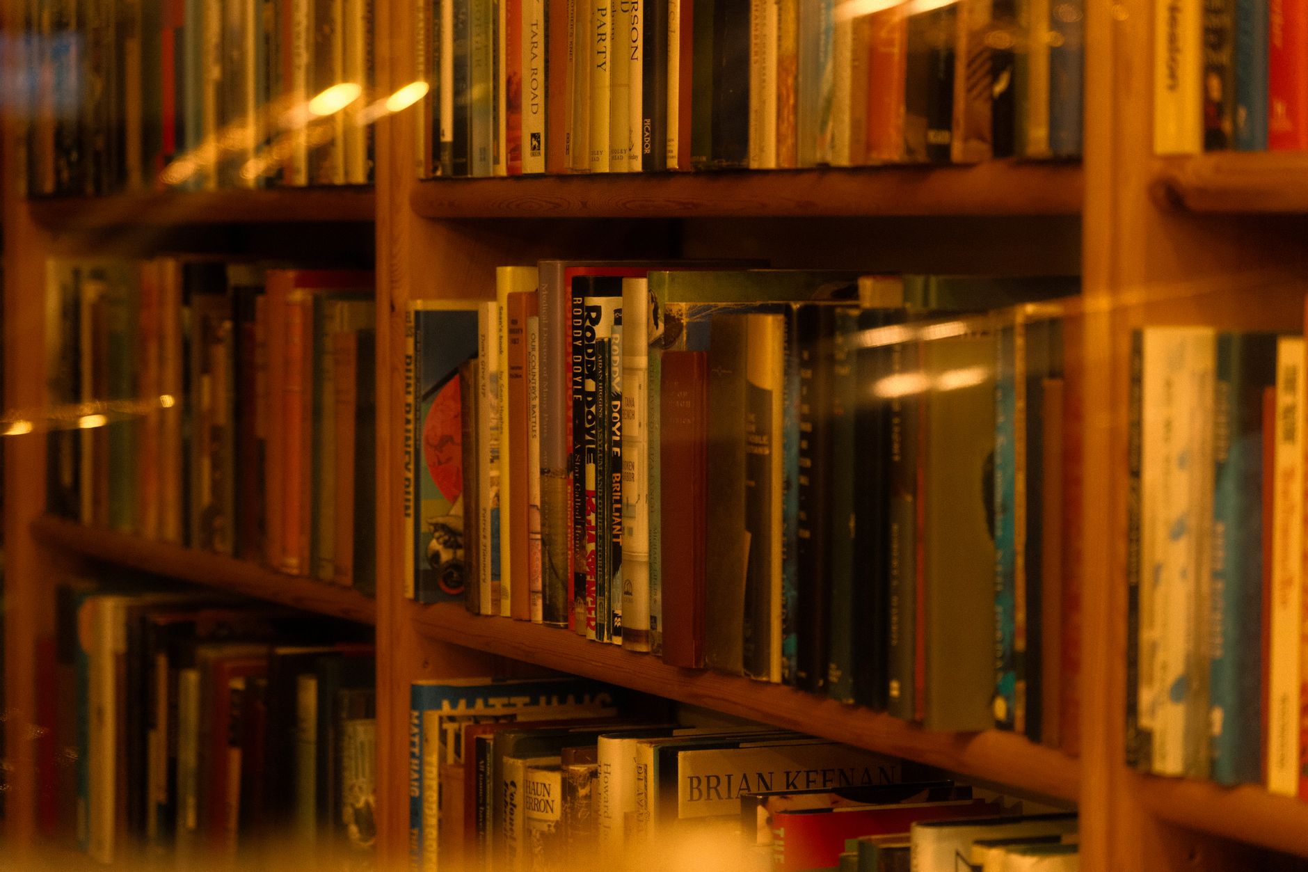 A warmly lit bookshelf filled with diverse literature in an inviting library setting.