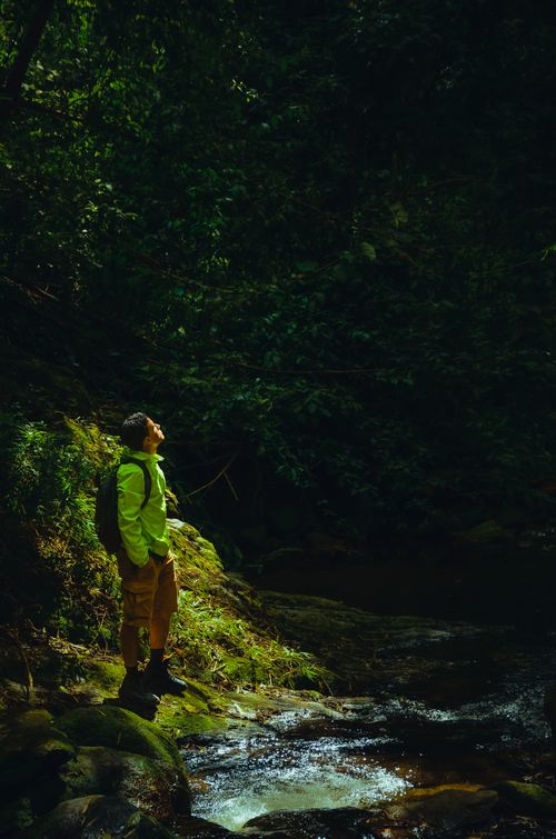 Free A hiker in bright clothing explores a lush, wooded area by a river in El Ávila National Park, Venezuela. Stock Photo