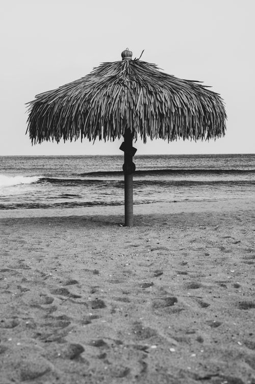 Free A solitary palm-thatched beach umbrella on a deserted sandy shore in black and white. Stock Photo