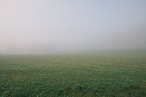 Free Experience the calm of a misty green field enveloped in morning fog. Stock Photo