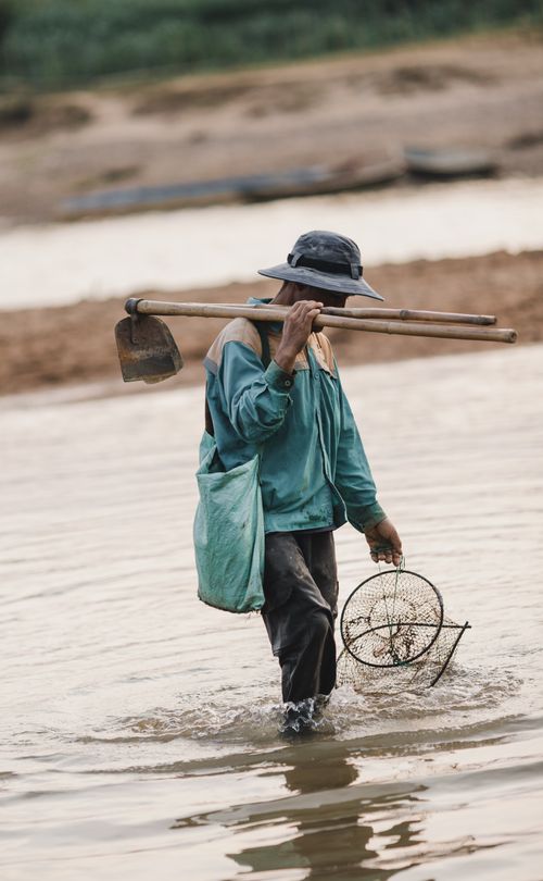 Free A fisherman in Vietnam wades through a river with traditional fishing tools at sunset. Stock Photo