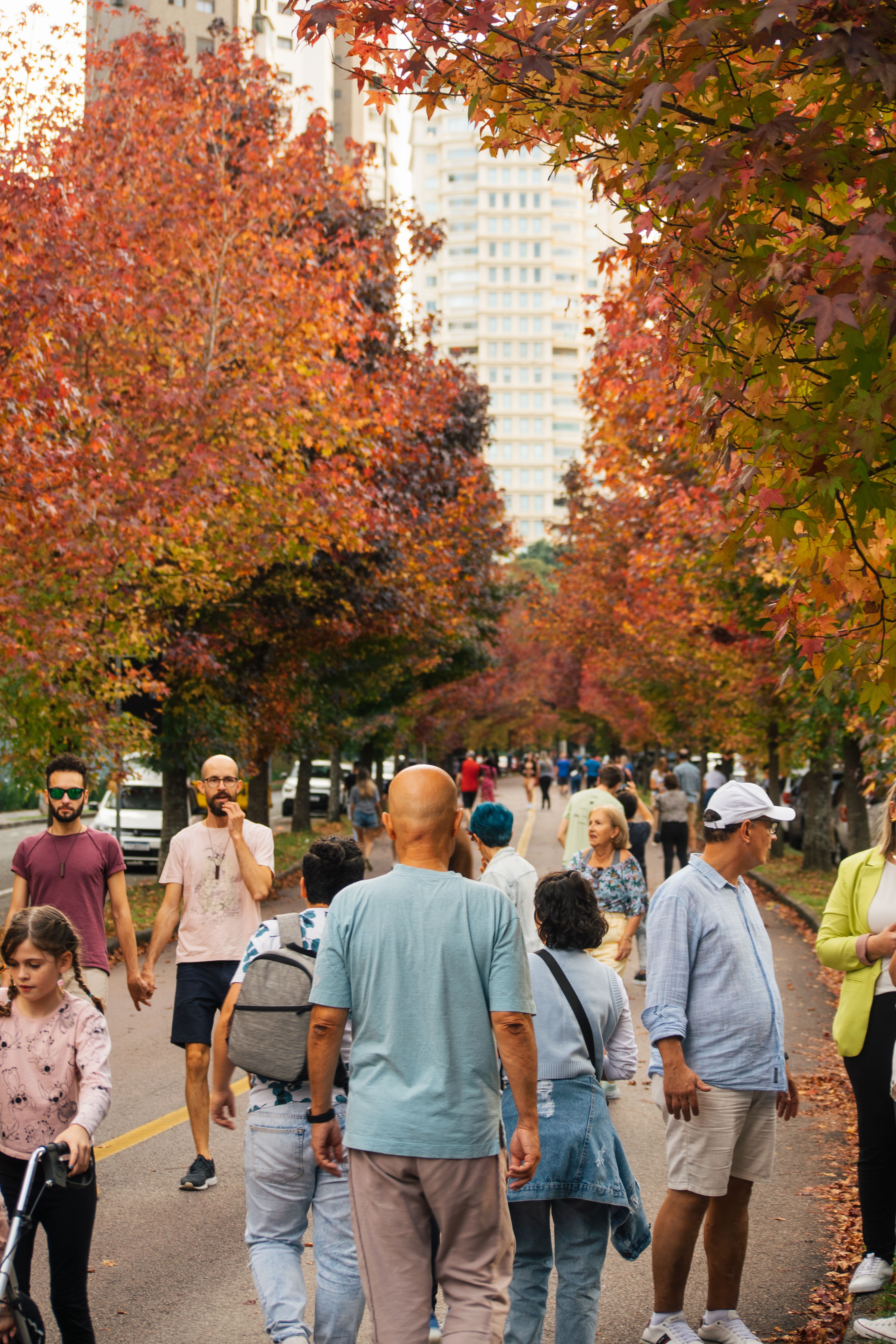 Vibrant Autumn Stroll in Busy Urban Park · Free Stock Photo