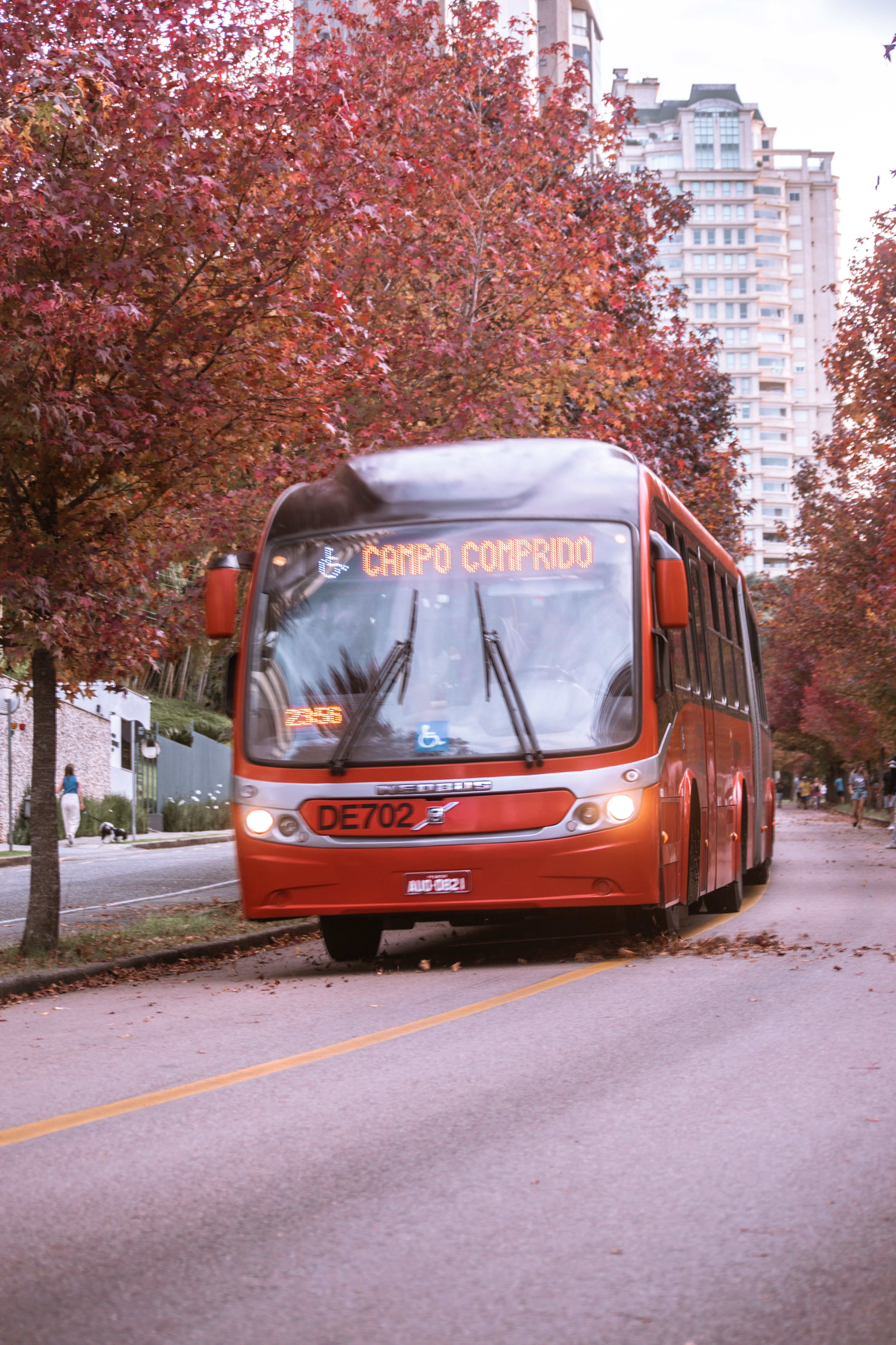 A red city bus drives down a tree-lined street during autumn with vibrant foliage.