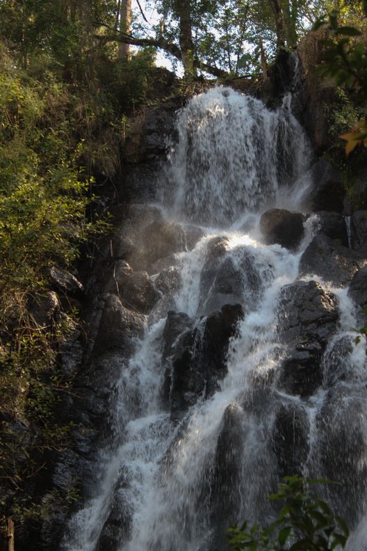 Bee Falls