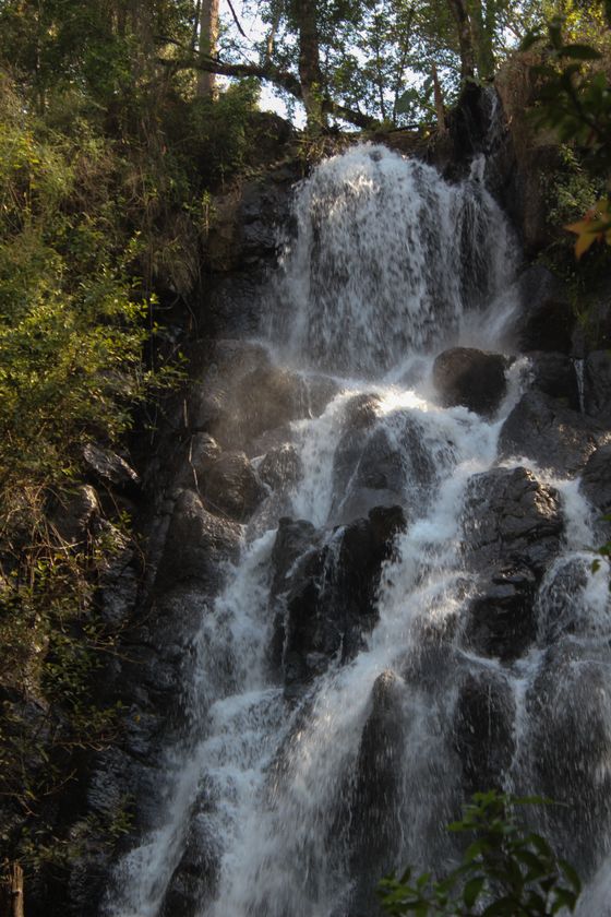 Bee Falls