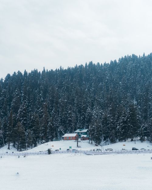 Free Captivating winter landscape of snow-covered trees and hills in Gulmarg, Kashmir. Stock Photo