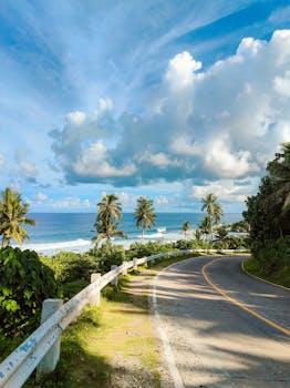 A beautiful coastal road overlooking palm-fringed beaches in Caraga, Philippines under a vibrant summer sky.