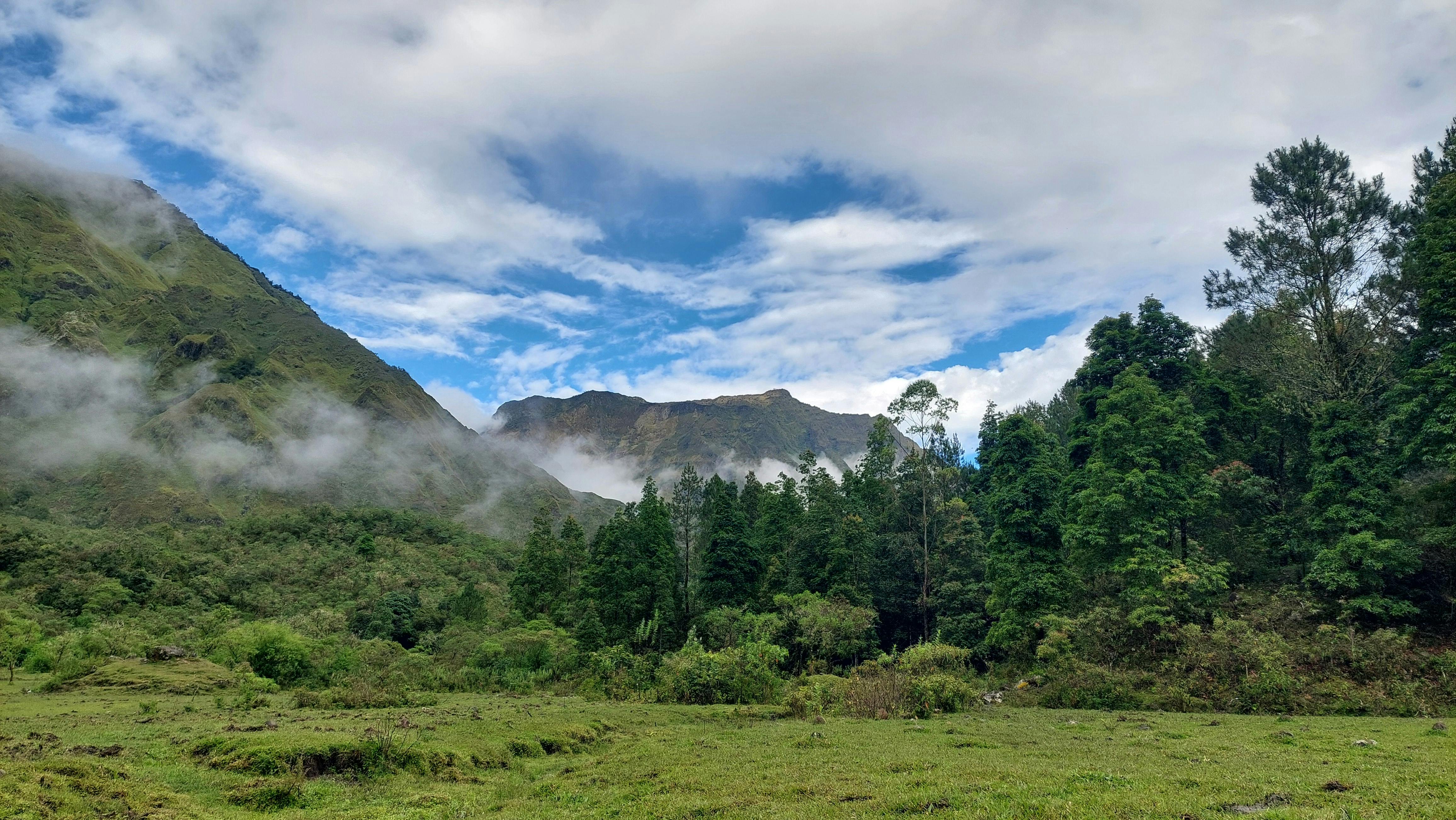 Breathtaking view of a lush forest against towering mountains under a vivid blue sky.