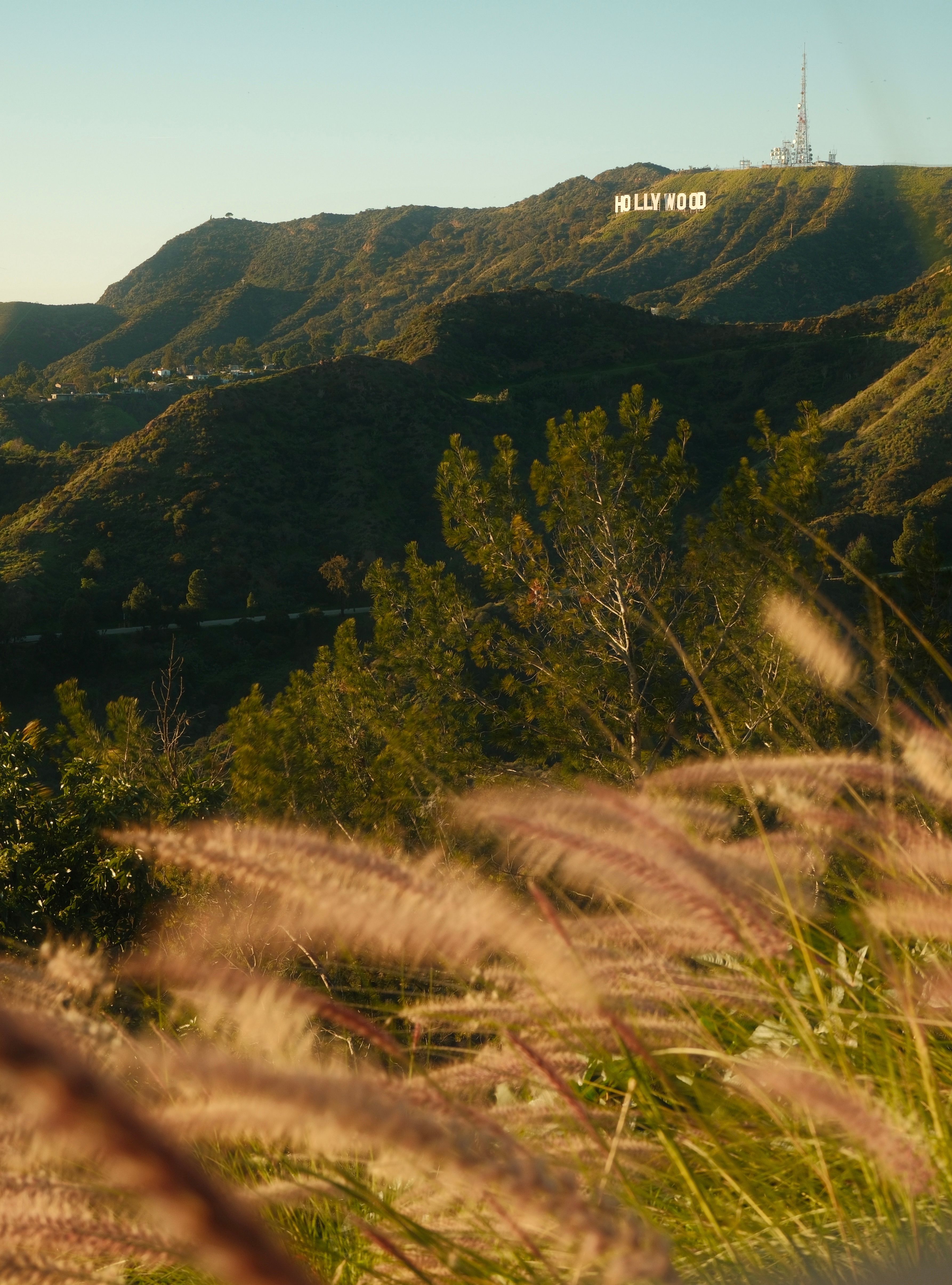 Een betoverend uitzicht op het Hollywood Sign, dat afsteekt tegen de groene heuvels onder een blauwe hemel.