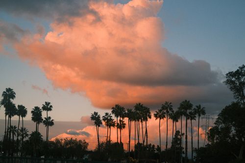 Free Beautiful sunset landscape featuring palm trees silhouetted against colorful clouds. Stock Photo