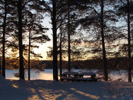Serene winter landscape with snow-covered benches and sunset through trees.