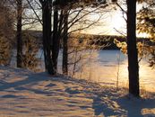 A picturesque winter scene featuring snow-covered trees by the lake at sunset.