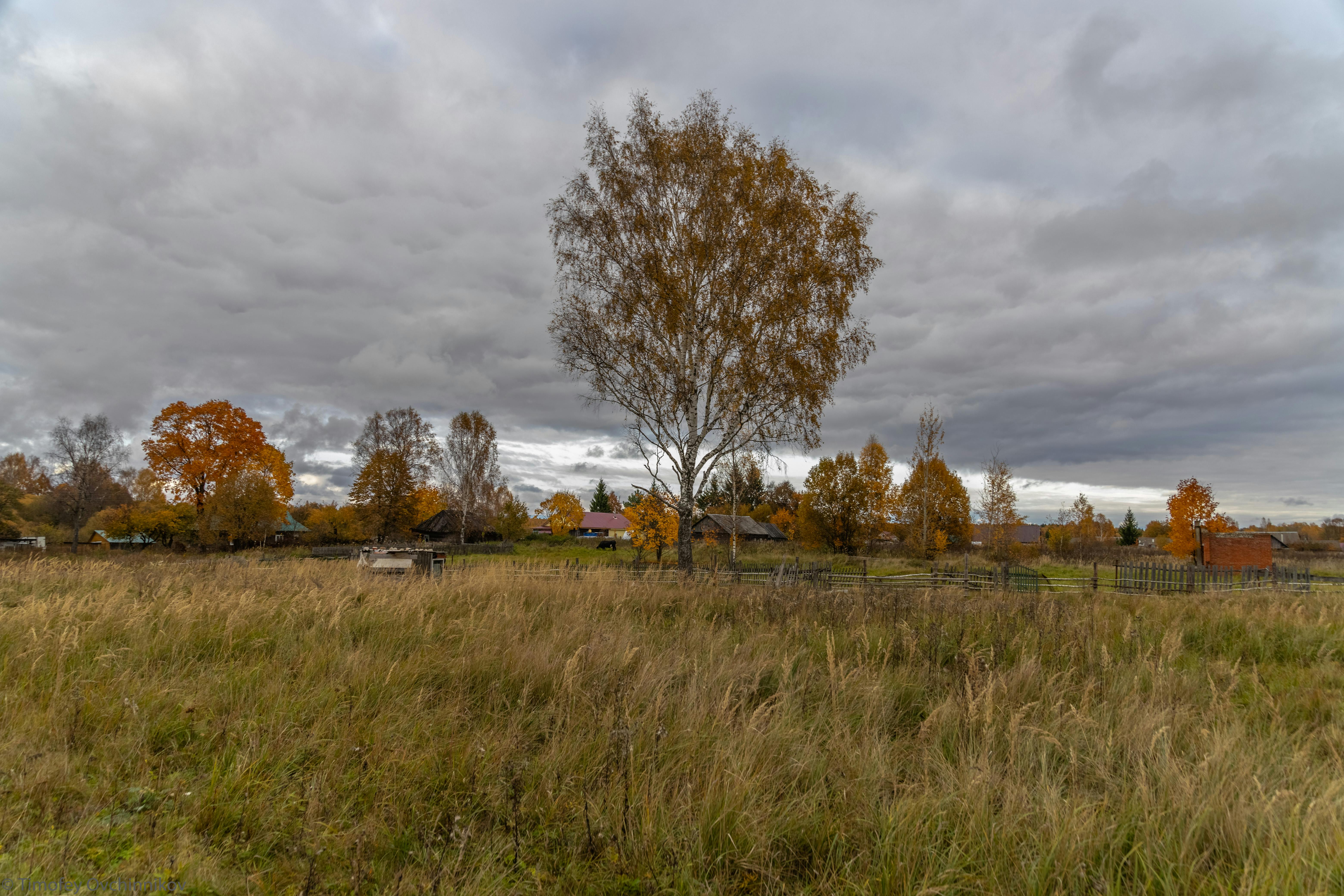 Free stock photo of autumn, landscape, vilage