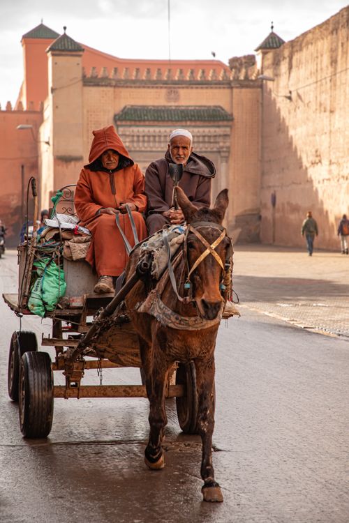 Free Two men in traditional attire riding a horse-drawn cart in Marrakesh, Morocco. Stock Photo