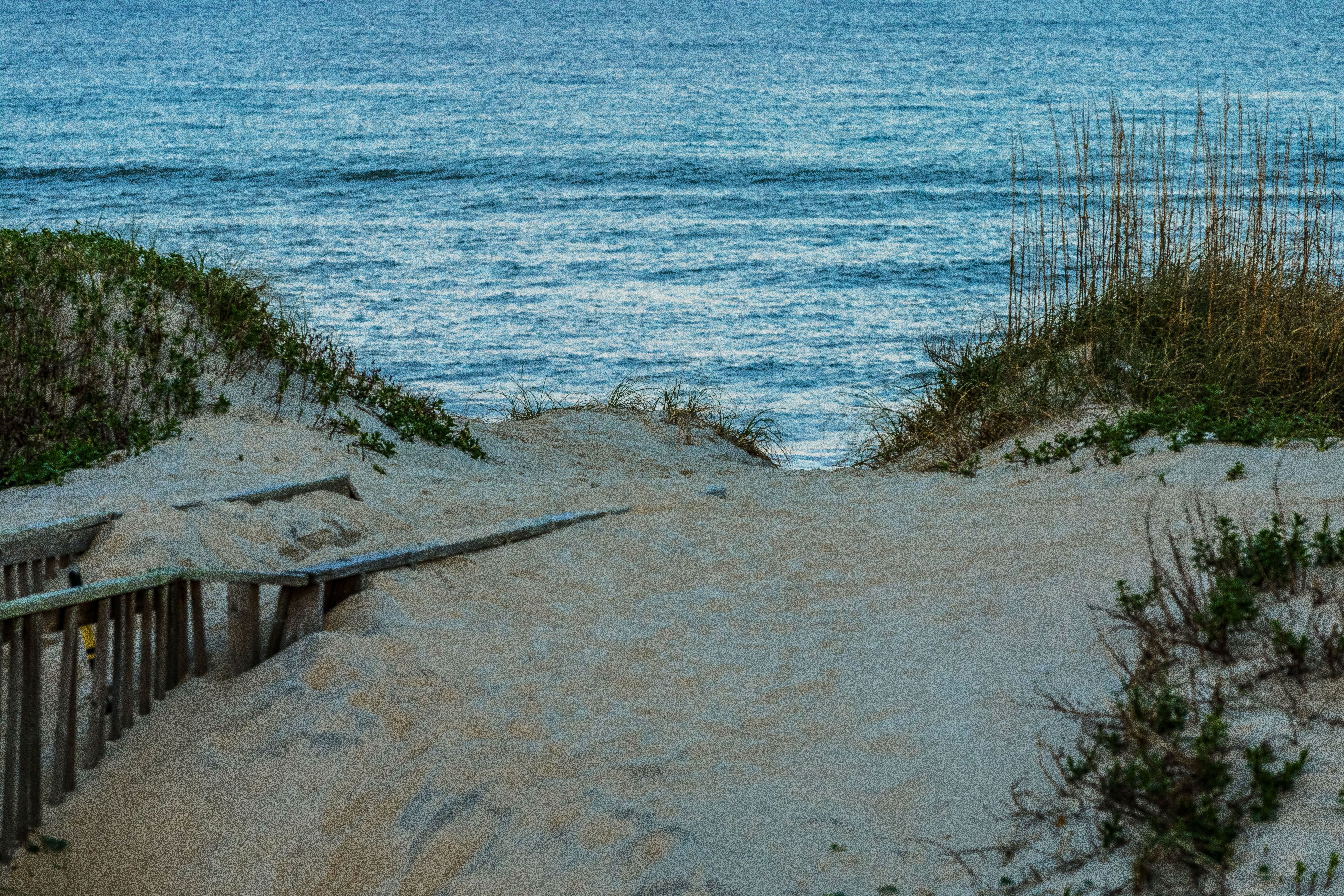 Scenic Pathway to Nags Head Beach, North Carolina · Free Stock Photo
