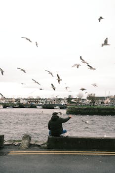 A lone man sits by a river feeding seagulls in a small harbor town under a cloudy sky.