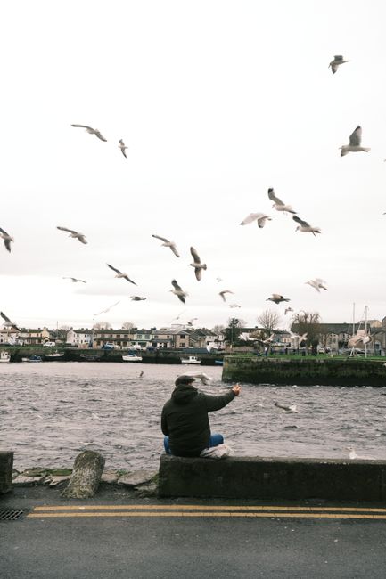 A lone man sits by a river feeding seagulls in a small harbor town under a cloudy sky.