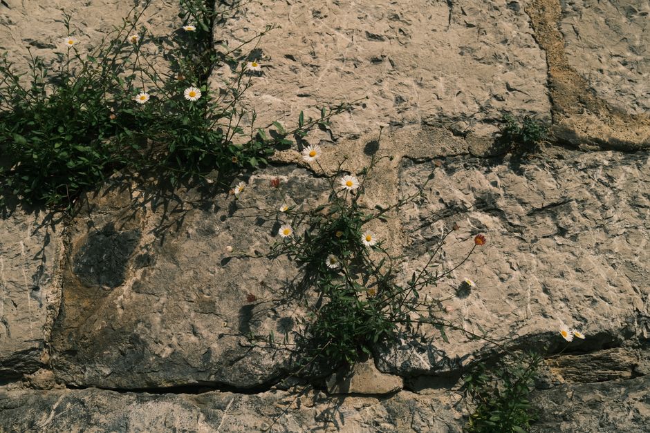 Hebei Wild Great Wall Hike — Photography Tips for the Wild Wall