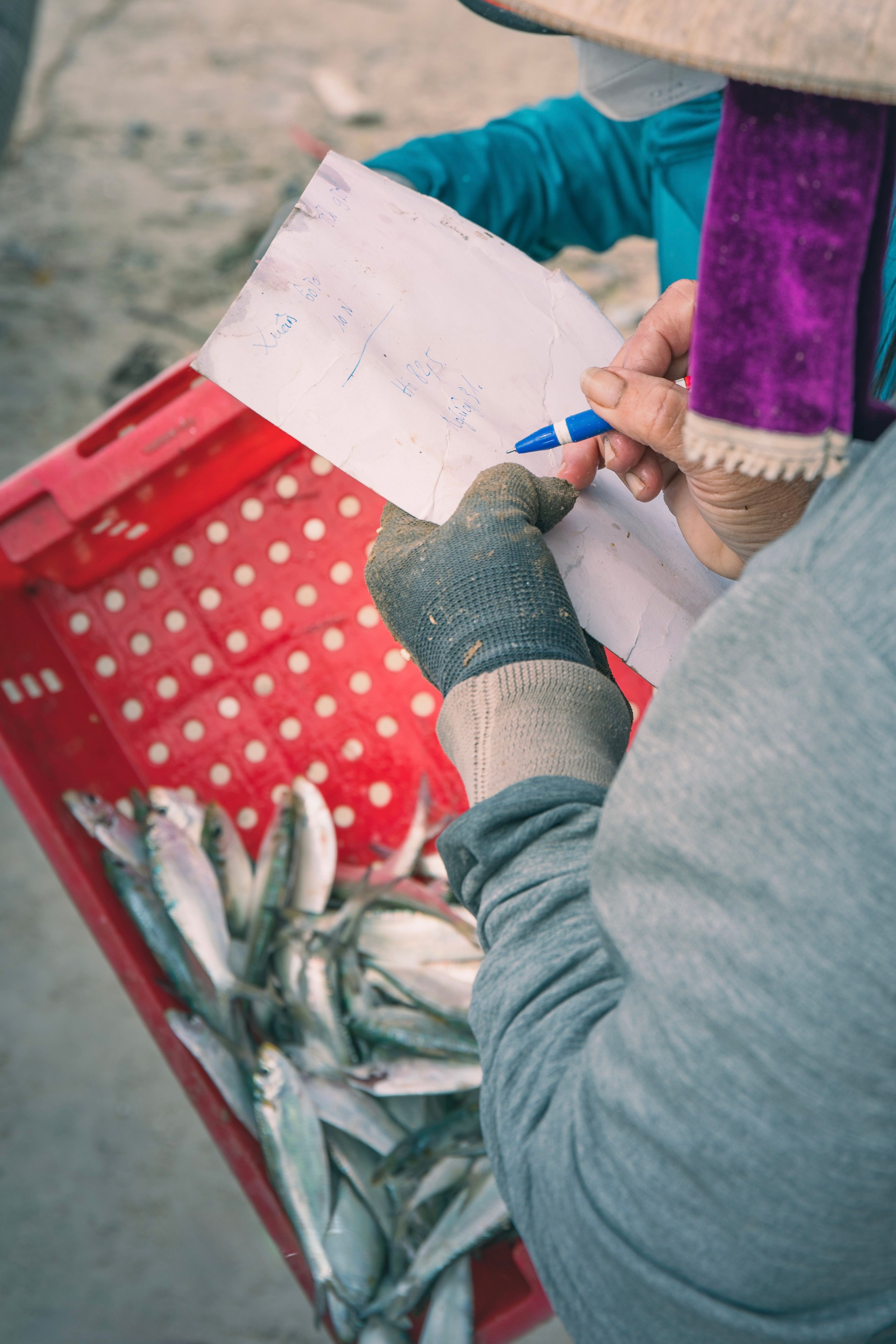 Overhead view of a fisherman tallying fish catch in a red crate outdoors during the day.