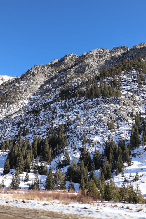 Free Scenic snowy mountain landscape with evergreen trees under clear blue sky. Stock Photo