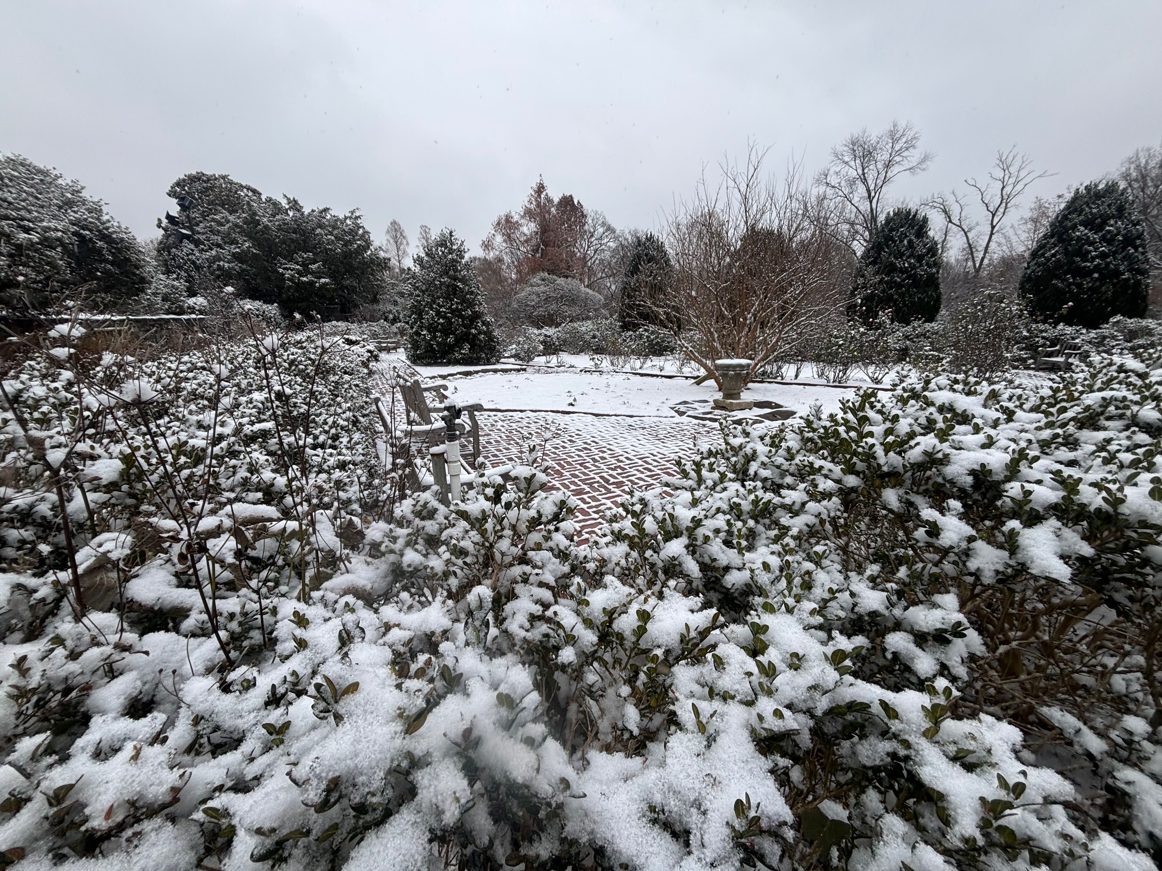 A serene garden landscape blanketed in fresh snow during winter.
