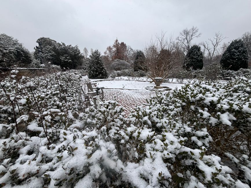 A serene garden landscape blanketed in fresh snow during winter.