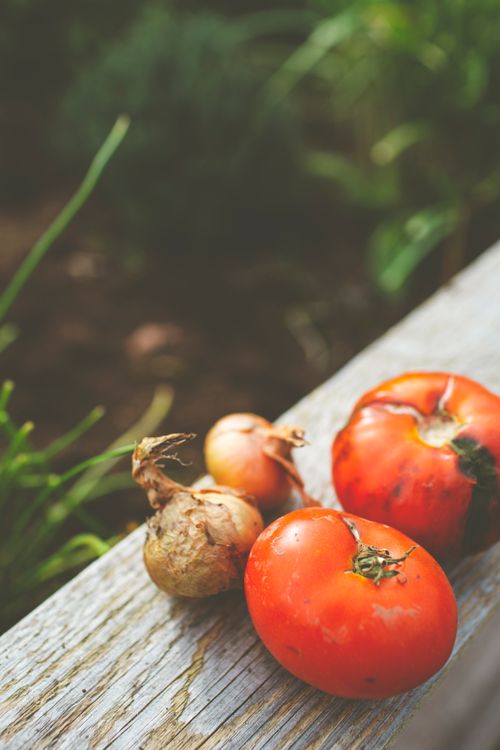 Free Close-up of fresh tomatoes and onions on a rustic wooden surface in natural light. Stock Photo