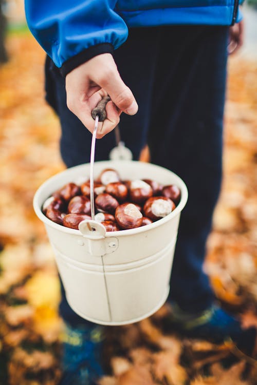 Free Person Holding Filled Pail Stock Photo