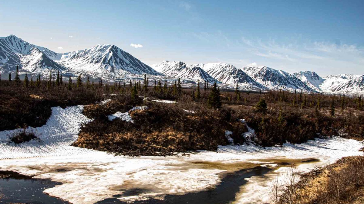 Anchorage, AK Beauty Giveaways Near Me: Where to Find Legit Deals