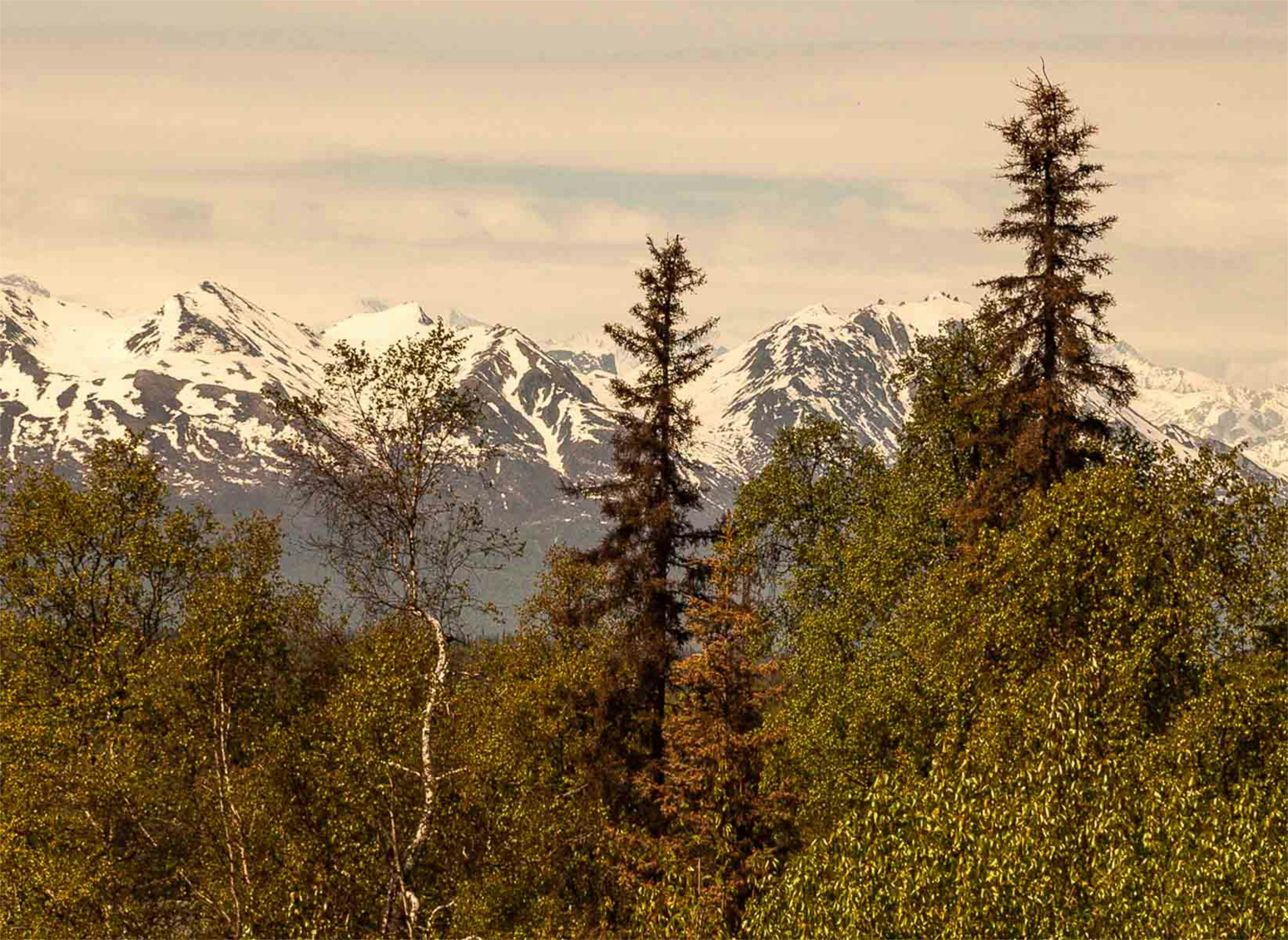 Alaska attorneys to provide free legal help on MLK Day holiday — Photo by Gary Hillery on Pexels