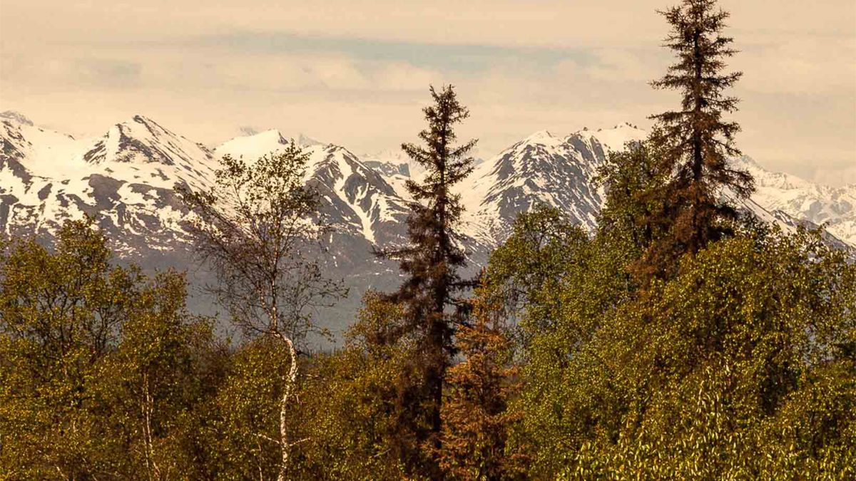 Best Holiday Giveaways in Anchorage, AK: 2026 Local Guide