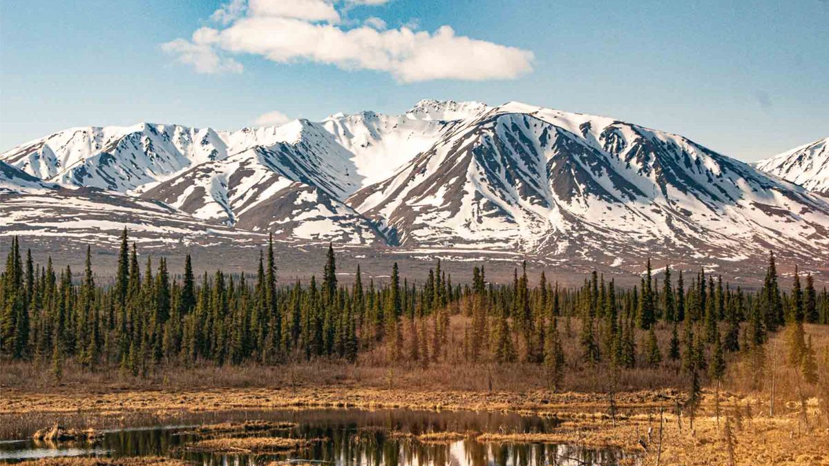 Best Beauty Giveaways in Anchorage, AK: 2026 Local Guide