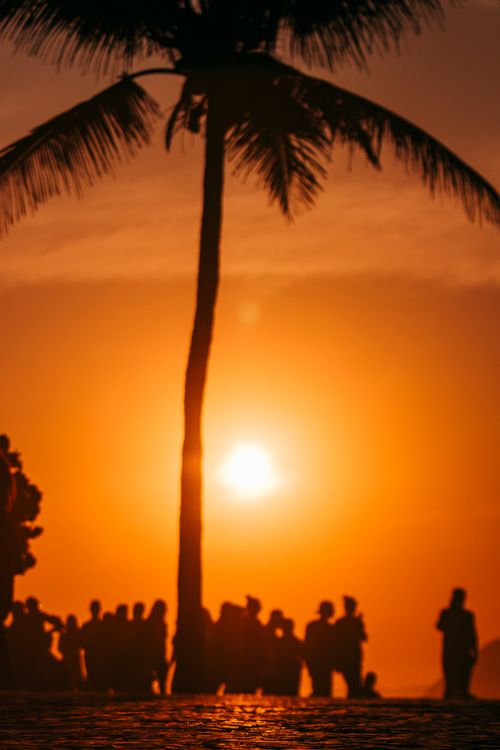 Free Silhouettes of people gathering under a palm tree in Rio de Janeiro with a vibrant sunset. Stock Photo