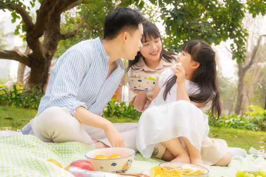 主人用手给狗狗喂食，建立信任与亲密关系