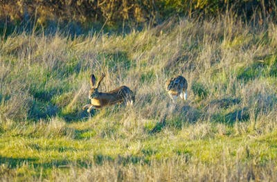 Monopoly Meets Art: Keith Haring's Iconic Legacy Takes Over the Board Game World