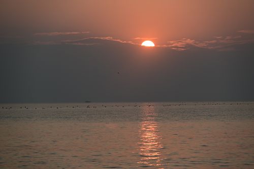 Free Captivating sunrise over calm ocean waters creates a tranquil scene with reflection and soft hues. Stock Photo