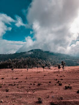 山景令人叹为观止，云海翻涌，色调充满活力