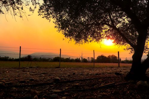 Free stock photo of a sunset in the field, african sunset Stock Photo