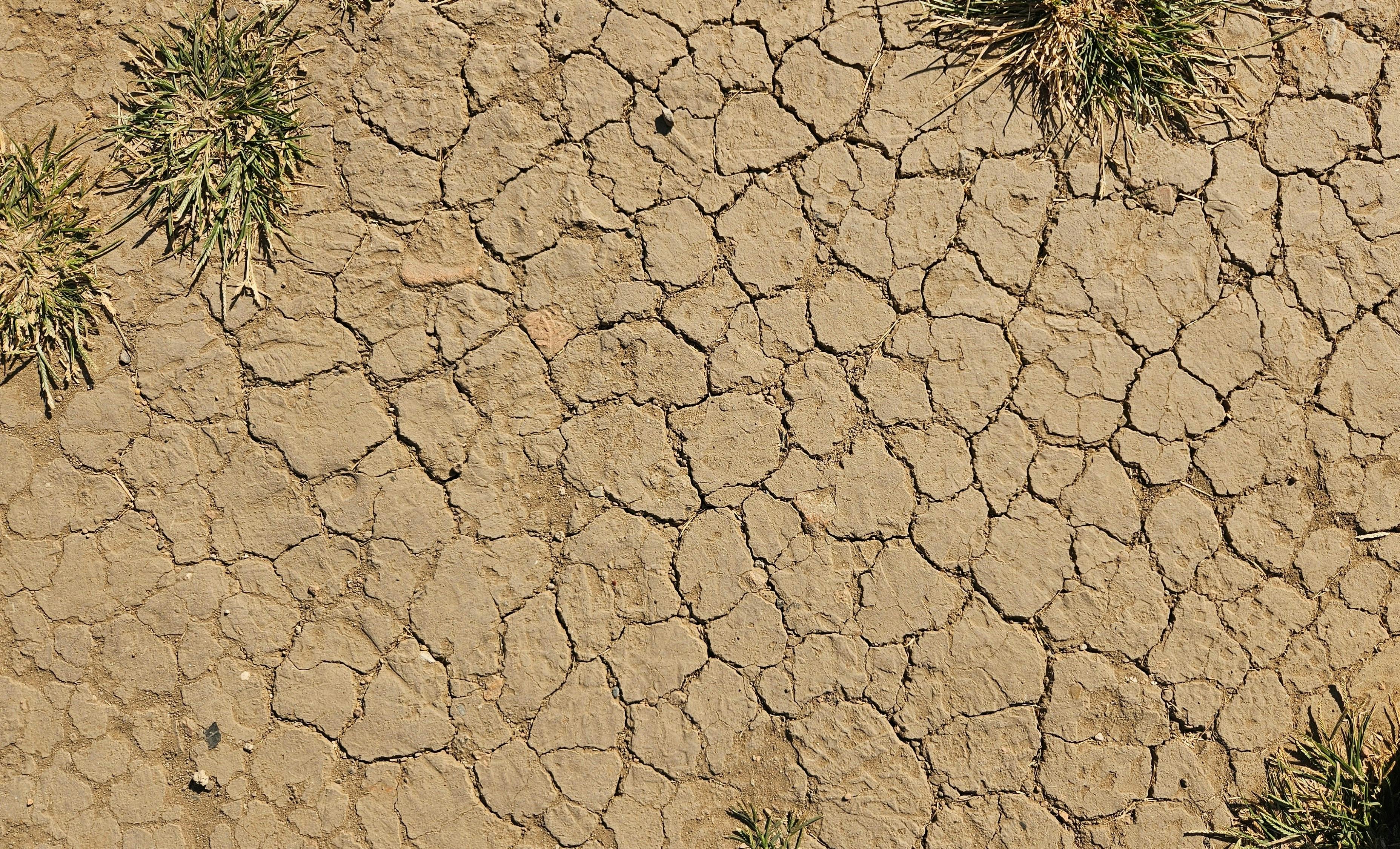 Drought Resilience and Water Conservation — Photo by Andee on Pexels