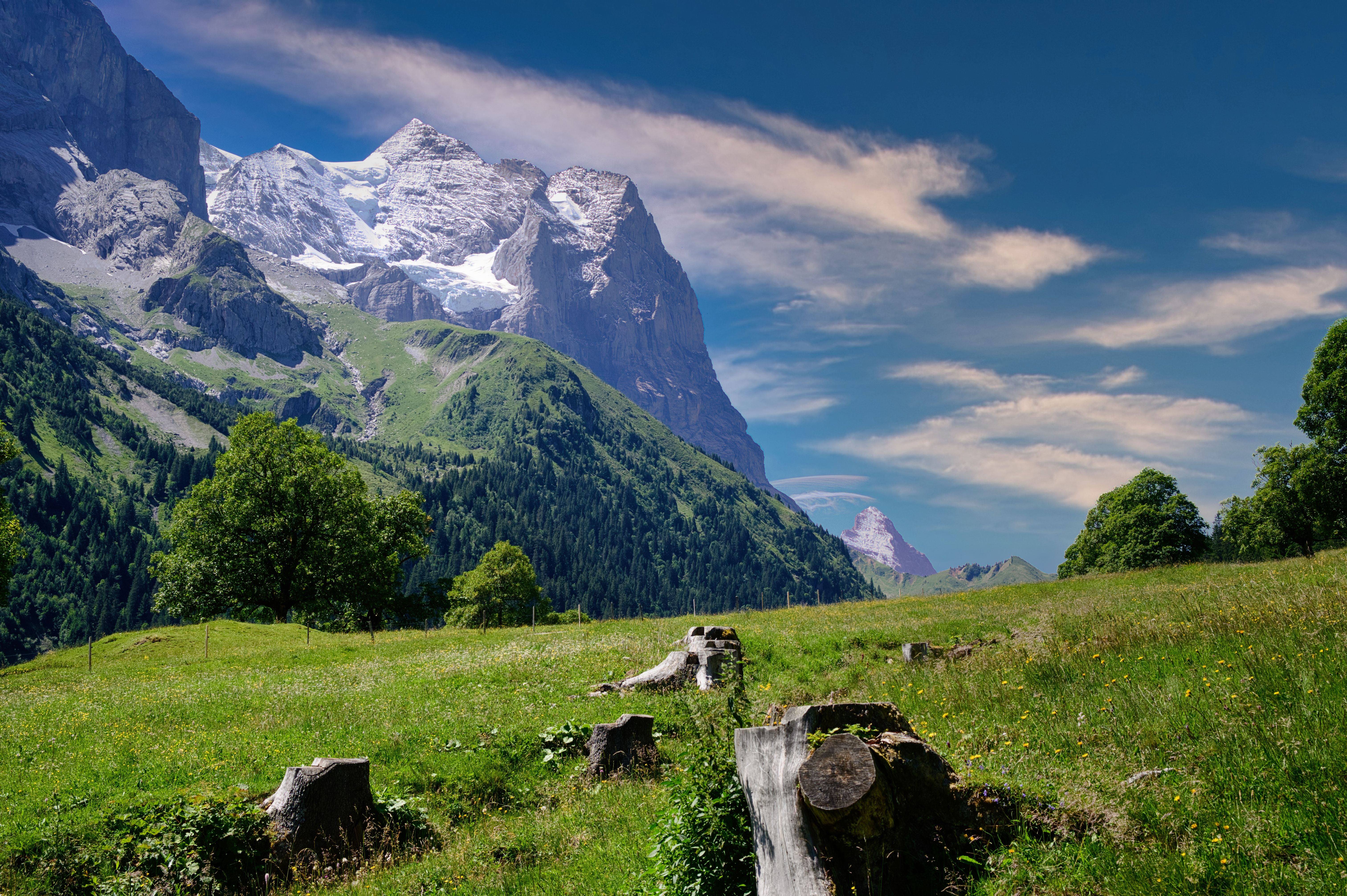 Scenic View of Swiss Alps with Lush Green Landscape · Free Stock Photo